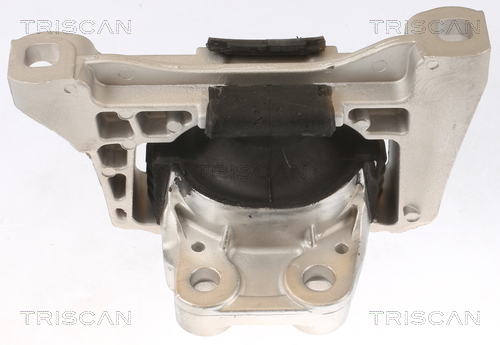 TRISCAN 8505 10100 Lagerung, Motor