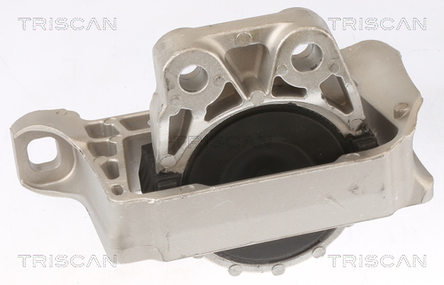 TRISCAN 8505 10100 Lagerung, Motor