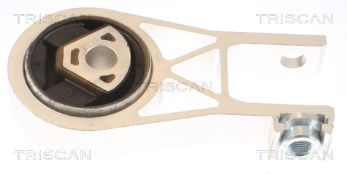 TRISCAN 8505 10101 Lagerung, Motor