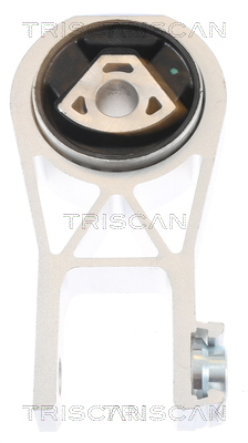 TRISCAN 8505 10101 Lagerung, Motor