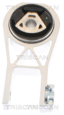 TRISCAN 8505 10101 Lagerung, Motor
