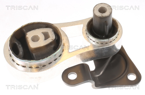TRISCAN 8505 10102 Lagerung, Motor