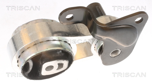 TRISCAN 8505 10102 Lagerung, Motor