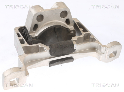 TRISCAN 8505 10105 Lagerung, Motor