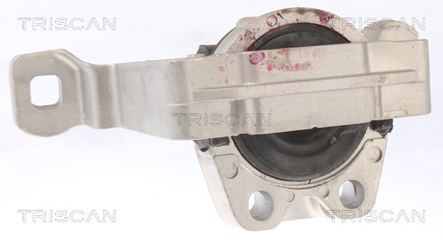 TRISCAN 8505 10105 Lagerung, Motor