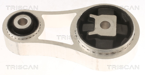 TRISCAN 8505 10106 Lagerung, Motor