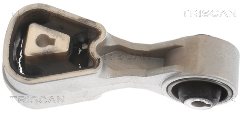 TRISCAN 8505 10107 Lagerung, Motor