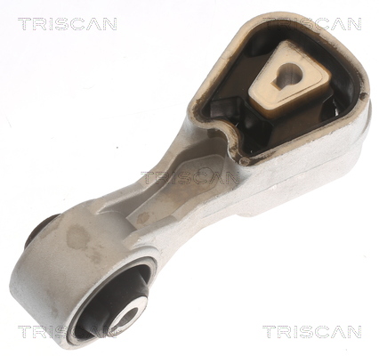 TRISCAN 8505 10107 Lagerung, Motor