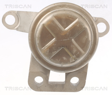 TRISCAN 8505 10108 Lagerung, Motor