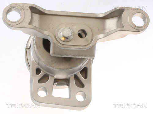 TRISCAN 8505 10108 Lagerung, Motor