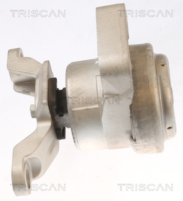 TRISCAN 8505 10108 Lagerung, Motor