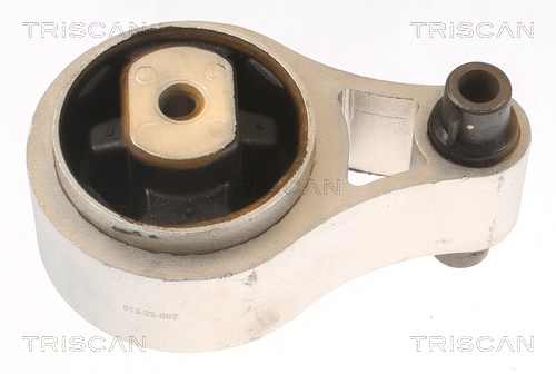 TRISCAN 8505 10109 Lagerung, Motor
