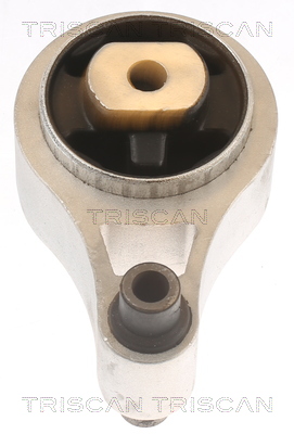 TRISCAN 8505 10109 Lagerung, Motor