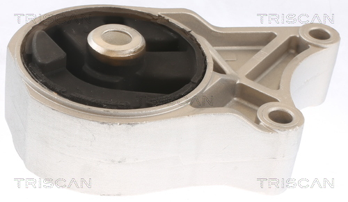 TRISCAN 8505 10110 Lagerung, Motor