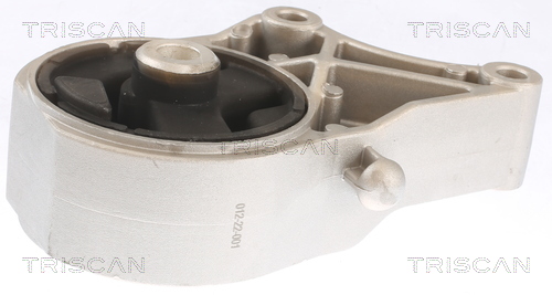 TRISCAN 8505 10110 Lagerung, Motor