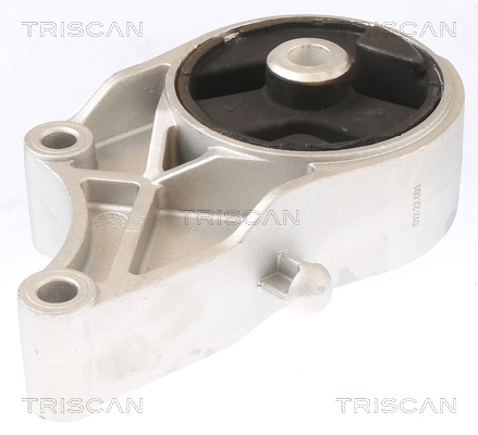 TRISCAN 8505 10110 Lagerung, Motor