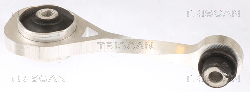 TRISCAN 8505 10111 Lagerung, Motor