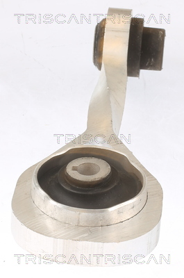 TRISCAN 8505 10111 Lagerung, Motor