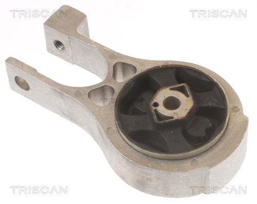 TRISCAN 8505 10112 Lagerung, Motor