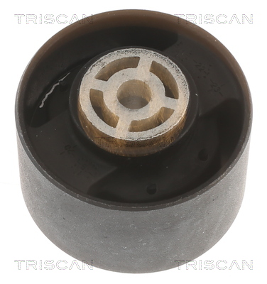 TRISCAN 8505 10113 Lagerung, Motor