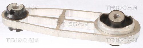TRISCAN 8505 10114 Lagerung, Motor