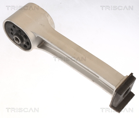 TRISCAN 8505 10115 Lagerung, Motor