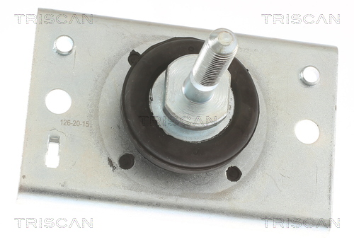 TRISCAN 8505 10116 Lagerung, Motor