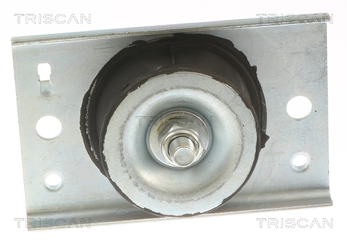 TRISCAN 8505 10116 Lagerung, Motor