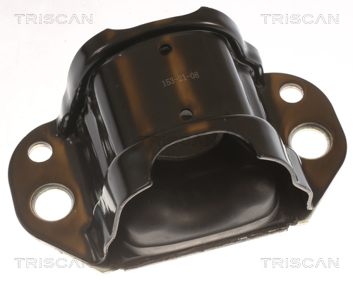 TRISCAN 8505 10117 Lagerung, Motor
