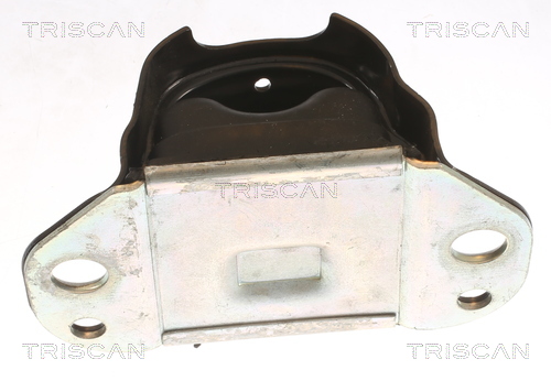 TRISCAN 8505 10117 Lagerung, Motor