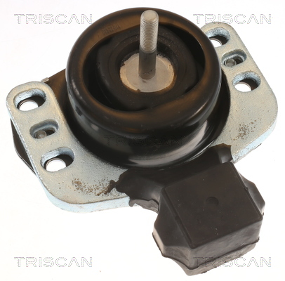 TRISCAN 8505 10118 Lagerung, Motor