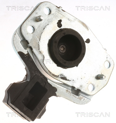 TRISCAN 8505 10118 Lagerung, Motor