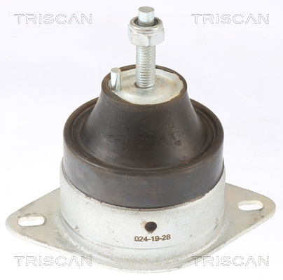 TRISCAN 8505 10119 Lagerung, Motor