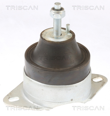 TRISCAN 8505 10119 Lagerung, Motor