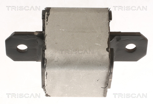 TRISCAN 8505 10120 Lagerung, Motor