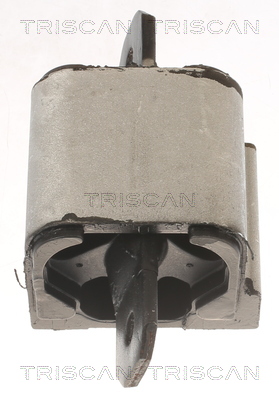 TRISCAN 8505 10120 Lagerung, Motor