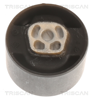 TRISCAN 8505 10121 Lagerung, Motor