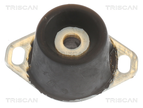 TRISCAN 8505 10122 Lagerung, Motor
