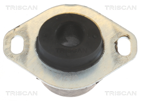TRISCAN 8505 10122 Lagerung, Motor