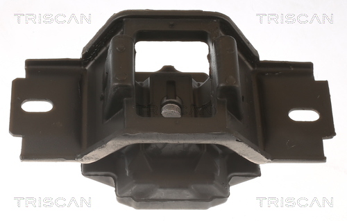 TRISCAN 8505 10123 Lagerung, Motor