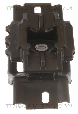 TRISCAN 8505 10123 Lagerung, Motor