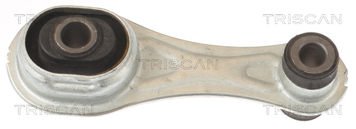 TRISCAN 8505 10124 Lagerung, Motor