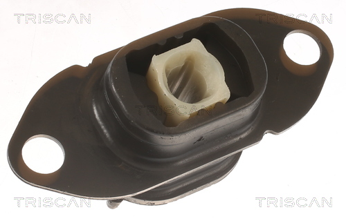 TRISCAN 8505 10125 Lagerung, Motor