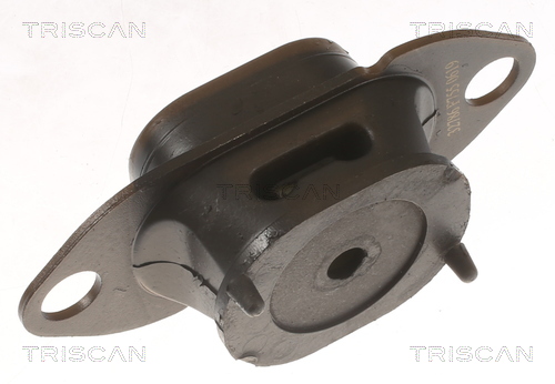 TRISCAN 8505 10125 Lagerung, Motor