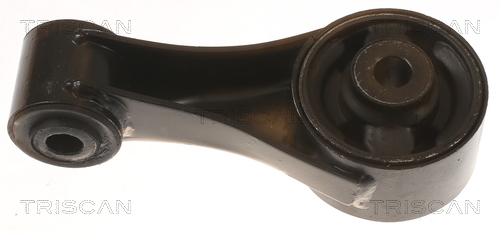 TRISCAN 8505 10126 Lagerung, Motor
