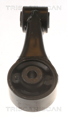 TRISCAN 8505 10126 Lagerung, Motor