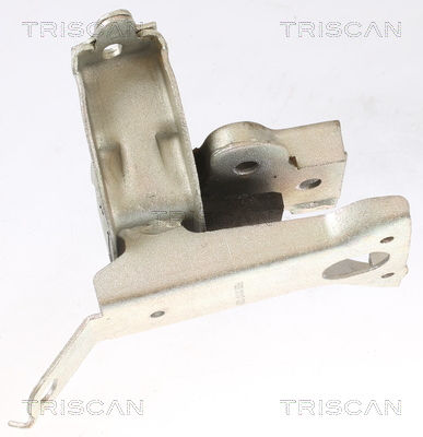 TRISCAN 8505 10127 Lagerung, Motor