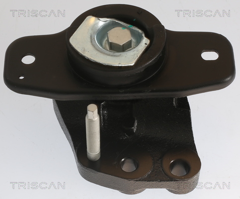 TRISCAN 8505 10128 Lagerung, Motor