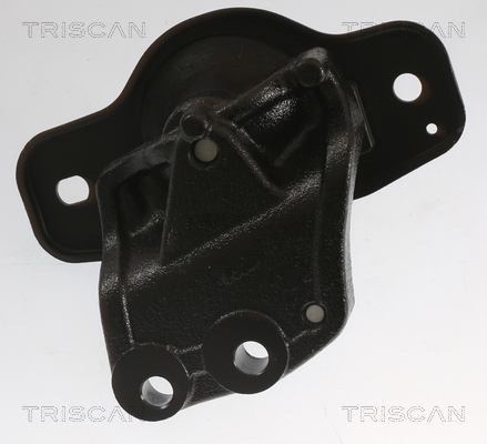 TRISCAN 8505 10128 Lagerung, Motor