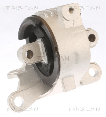 TRISCAN 8505 10129 Lagerung, Motor
